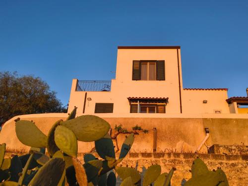 a house on top of a wall with a cactus at Belvedere in Santa Margherita di Belice