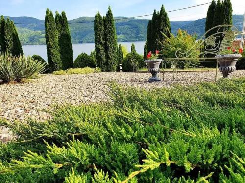 a park with a bench and trees and a lake at Pensiunea Casa Mircea & Restaurant in Eşelniţa