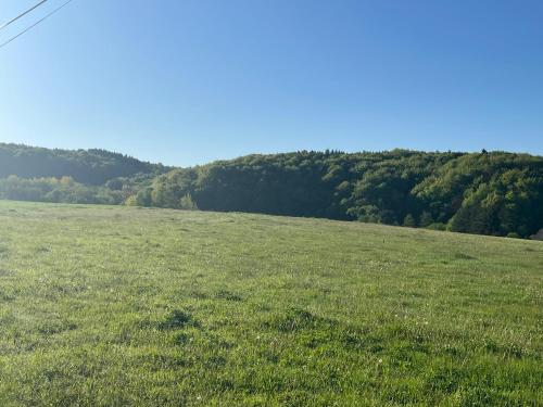 a field of green grass with trees in the background at Apartmán Zuzka in Radoma