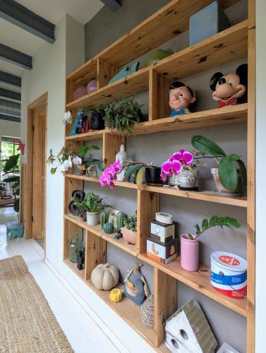 a room with wooden shelves filled with plants at The green nest in Gedera