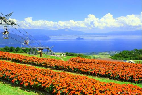 a field of flowers with a lake in the background at Yuzanso in Otsu