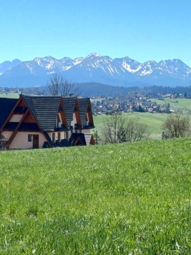 a house on a hill with mountains in the background at Apartament Góralski in Bukowina Tatrzańska