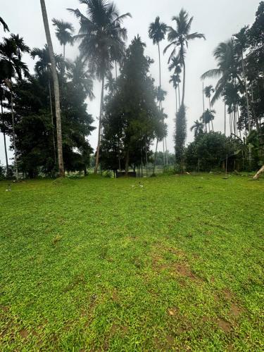 a field of grass with palm trees in the background at Natures Adobe in Nilambūr