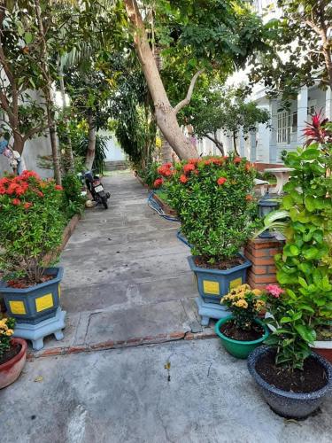 una fila de macetas y flores en una acera en Nhà Nghỉ TRINH TÂM, en Ấp Thiện Phước