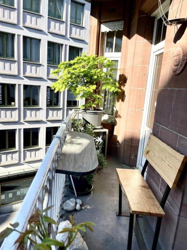 Im Herzen der Altstadt Basel