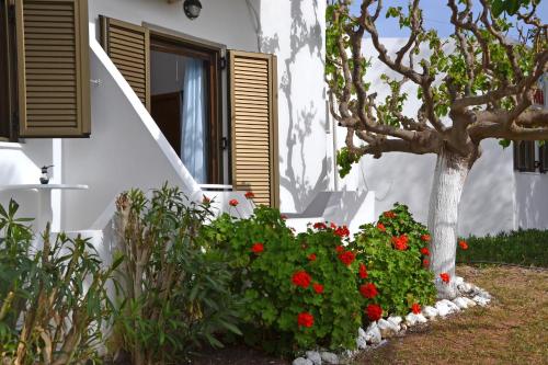 a house with red flowers in front of a window at Orthi Ammos in Frangokastello