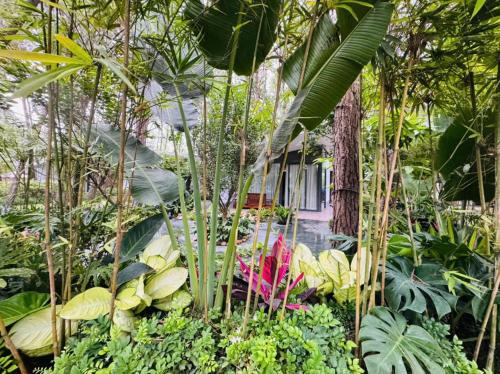 a garden with tropical plants and a house at Biệt Thự chủ nhà tự doanh tại FLAMINGOS ĐẠI LẢI RESORT in Phúc Yên