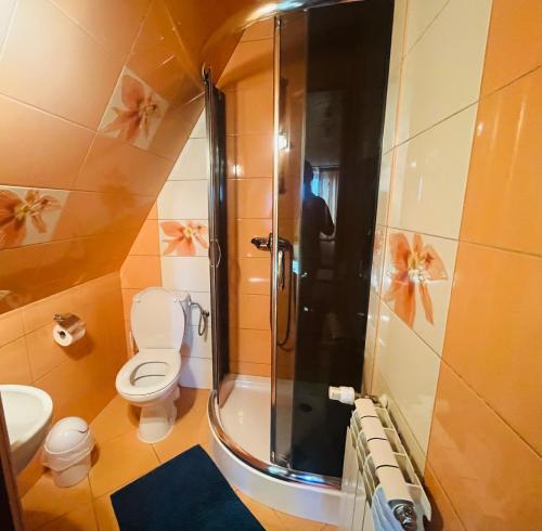 Phòng tắm tại Pokoje Gościnne U Janusza