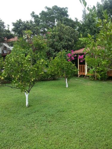 Gambar di galeri bagi Oase Garden di Cıralı