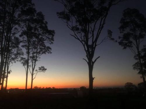 a group of trees with the sunset in the background at Mala Retreat, Shiraz Suite 5 Star Immaculate and Comfortable in East Maitland