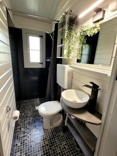 a bathroom with a white toilet and a sink at LES CHALETS de MONTORGUEIL in Saurat
