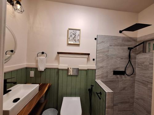 a bathroom with a sink and a toilet and a shower at Wild Ginger Hotel in Hilo