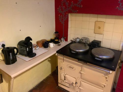 a kitchen with a stove with two pots and pans at Shannon River House & Gardens in Limerick