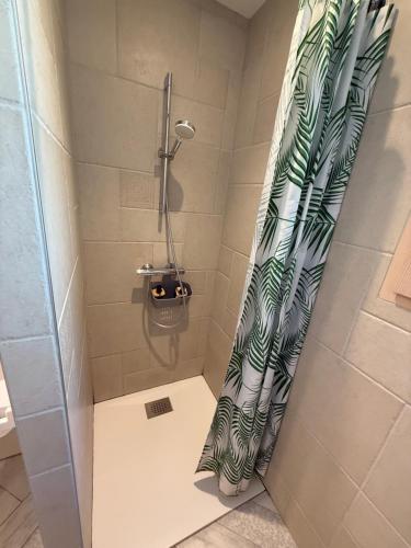 a shower with a shower curtain in a bathroom at LES ANTHOCYANES in Champagny