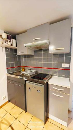 une cuisine équipée d'appareils en acier inoxydable et de placards gris dans l'établissement Entre Mer et Lac, à Aytré