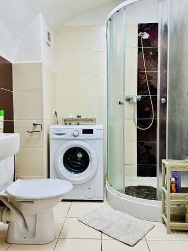 Un baño con inodoro y lavadora. en Apartmán HUGO, en Jaroměř