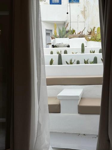 a view from a window of stairs with cactus at Fratelli Family Rooms in Tinos Town
