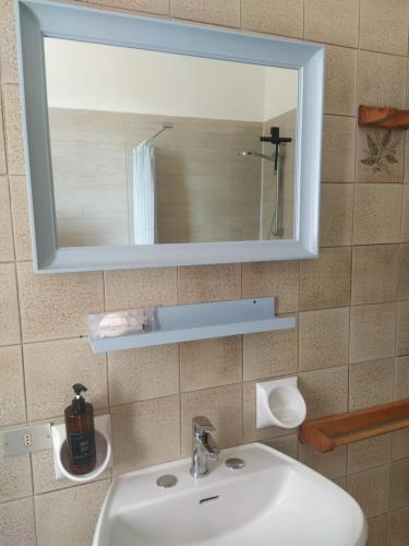 a bathroom with a white sink and a mirror at Civico 21-FreeParking in Vescovato