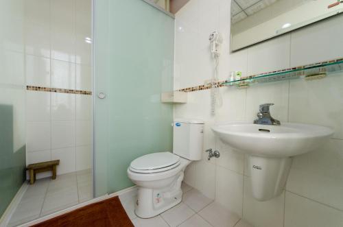 een badkamer met een toilet en een wastafel bij Yenhi B&B in Taitung