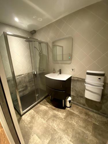 une salle de bain avec un lavabo et une douche dans l'établissement Appartement hyper centre-ville historique 80 m2, à Chambéry