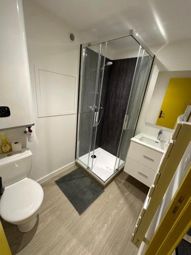 une salle de bain avec une douche, des toilettes et un lavabo dans l'établissement Appartement Djo&Juh 4, à Granville