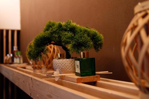a shelf with a bottle of perfume and plants on it at Spera Luxury Palermo & SPA in Palermo