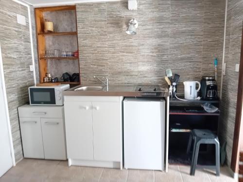 une petite cuisine avec un évier et un micro-ondes dans l'établissement chambre studio, à Gérardmer