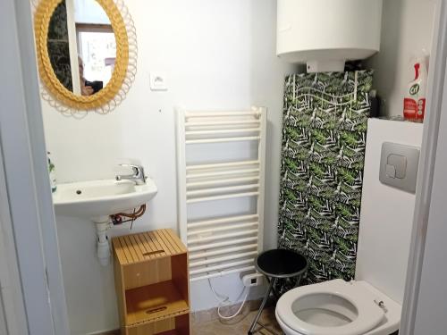 a small bathroom with a toilet and a sink at chambre studio in Gérardmer
