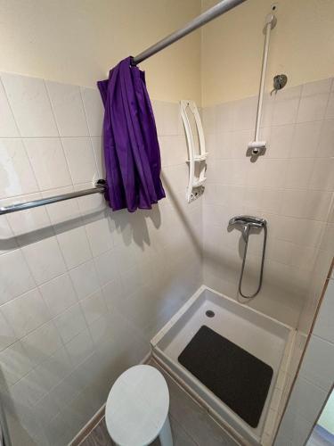 La salle de bains est pourvue de toilettes et d'une serviette pourpre. dans l'établissement StudiosMichel apt 17 balcon thermes 400m à pied, à Cazaubon