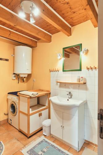une salle de bain avec un lavabo et une machine à laver dans l'établissement Cottage Batz - Moulin de Kerellec, à Plougoulm