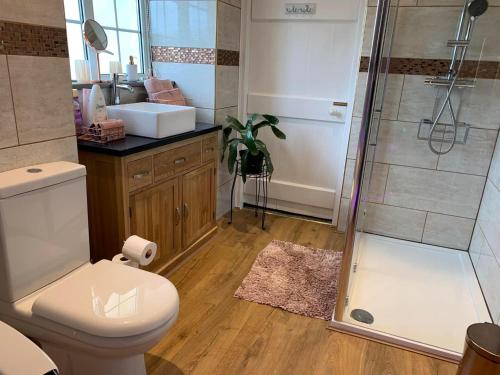 a bathroom with a toilet and a shower at Tatson Farmhouse B&B in Bridgerule