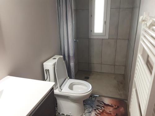 a small bathroom with a toilet and a shower at Le box,magnifique pavillon privé in Rigaud
