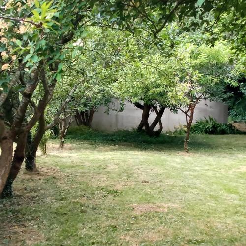 Une rangée d'arbres dans une cour avec de l'herbe dans l'établissement Maison à la campagne - Ploërmel, à Ploërmel