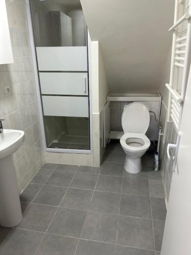 a small bathroom with a toilet and a sink at Rent Appart Forbach in Forbach