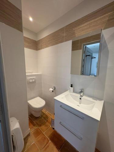 une salle de bain avec un lavabo blanc et des toilettes dans l'établissement Chez Balthazar n2 Arles centre, à Arles