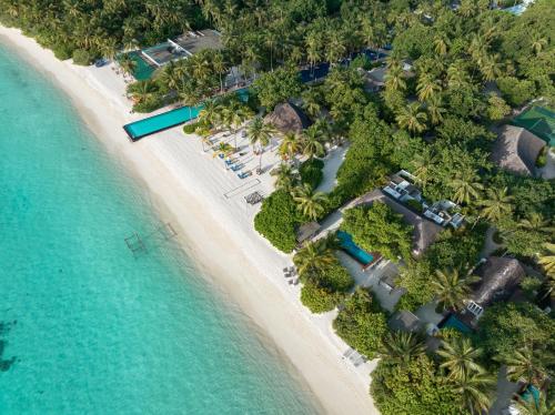 an overhead view of a beach with palm trees and the ocean at Sirru Fen Fushi Private Lagoon Resort Maldives in Shaviyani Atoll