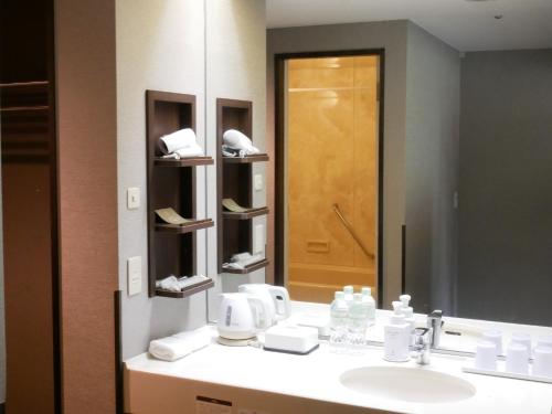 a bathroom with a sink and a mirror at Hakone Sengokuhara Prince Hotel in Hakone