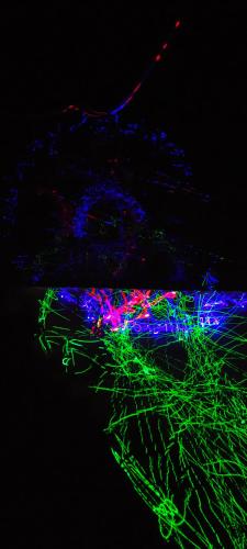 a group of green and blue lights in the dark at Byway, Kasol in Manīkaran
