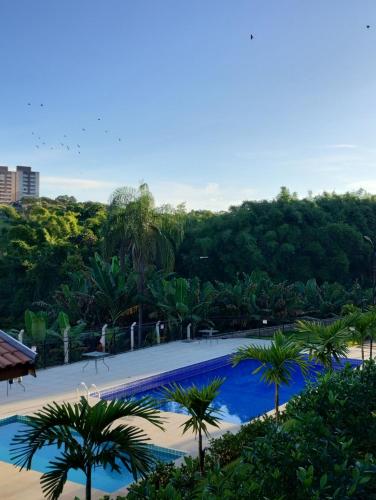 a view of a swimming pool with palm trees at Aconchego de Espírito Santo do Pinhal in Espirito Santo Do Pinhal