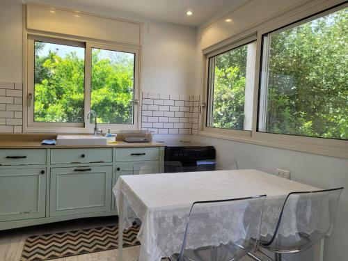 a kitchen with a table and a sink and windows at מקום בצפון הגולן - A place in the northern Golan Heights in Merom Golan