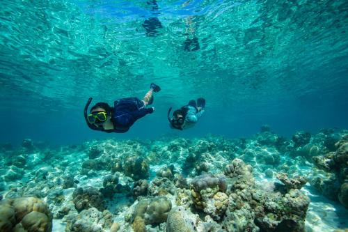two people are swimming over a coral reef at Sirru Fen Fushi Private Lagoon Resort Maldives in Shaviyani Atoll