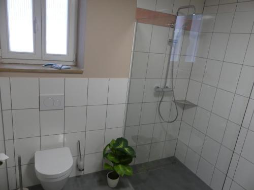 a bathroom with a shower and a toilet at Ferienwohnungen Kay in Kirchaich