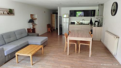 un salon avec un canapé et une table dans l'établissement Le grand duc, à Mijoux