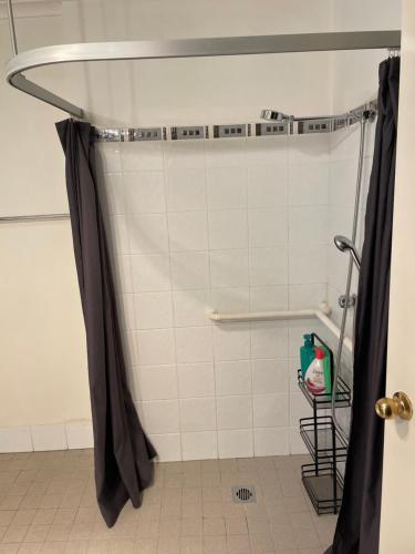 eine Dusche mit Duschvorhang im Bad in der Unterkunft Rest, Relax and Recoup in Lake Albert