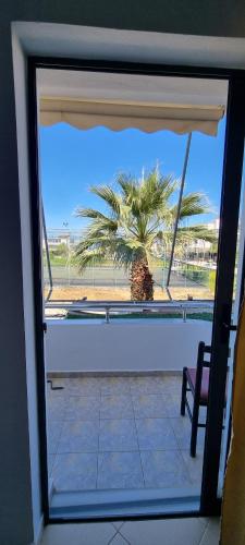 a view of a palm tree from a window at 2 Palmat Hotel in Ksamil