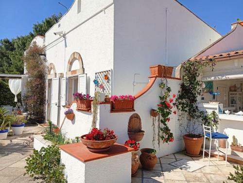 a house with potted plants on the side of it at B&B Le Vele in Maruggio