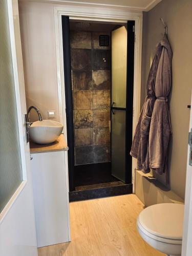 a bathroom with a sink and a toilet and a shower at My Home in Harlingen