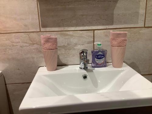 a bathroom sink with two cups and a bottle of toothpaste at Tatson Farmhouse B&B in Bridgerule