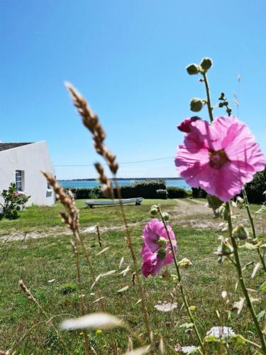 Photo de la galerie de l'établissement Kercroc, à Plouharnel