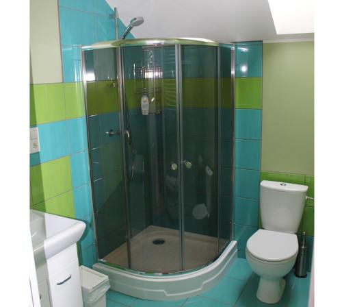 a bathroom with a shower and a toilet at Słoneczna Zagroda - Sunny Ridge Farm in Łączna